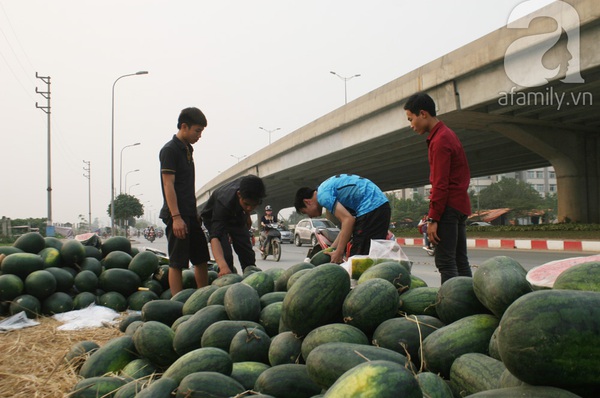 Tuấn Hưng ở Đức