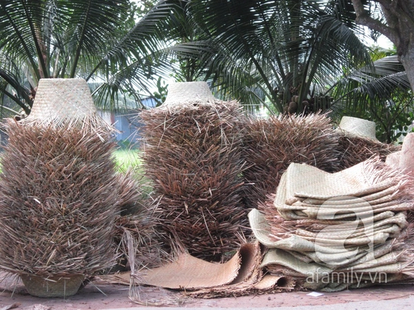 Tới thăm làng nghề đan cỏ bàng truyền thống ở Tiền Giang 15