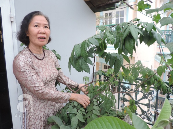 Người Sài Gòn tự làm nông dân tại gia để được ăn rau sạch 6