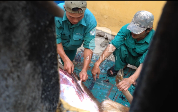 Xuất hiện clip được cho là nhân viên và bảo vệ vườn thú Đà Nẵng mổ thịt nai nuôi 2