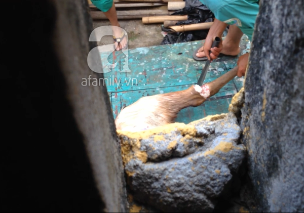 Xuất hiện clip được cho là nhân viên và bảo vệ vườn thú Đà Nẵng mổ thịt nai nuôi 3