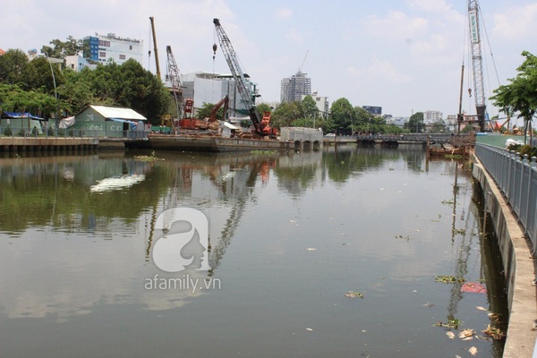 TP.HCM: Cá chết hàng loạt, kênh Nhiêu Lộc bốc mùi hôi thối 1