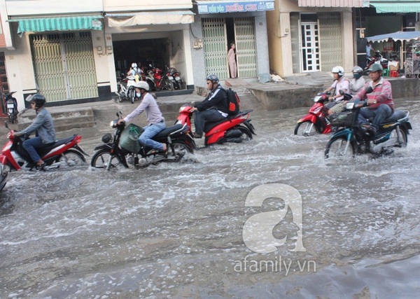 Sau mưa đêm, đường Tân Hóa nước ngập thành sông 5