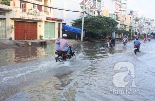 Sau mưa đêm, đường Tân Hóa nước ngập thành sông 6