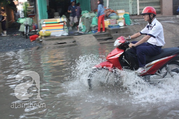 Sau mưa đêm, đường Tân Hóa nước ngập thành sông 11