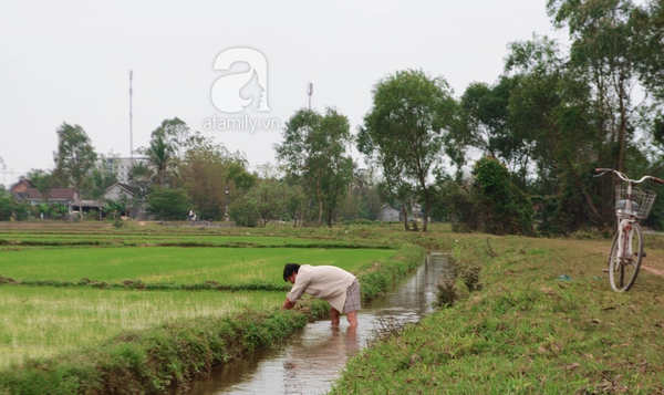 Độc đáo làng thương vợ ở Huế 2