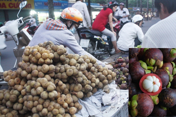 TP.HCM: Giá trái cây bình dân đắt gấp 3 lần trái cây 