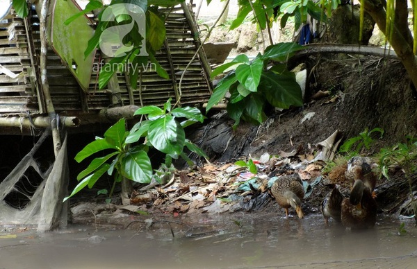 Dịch tiêu chảy bùng phát, 2 trẻ tử vong thương tâm 3