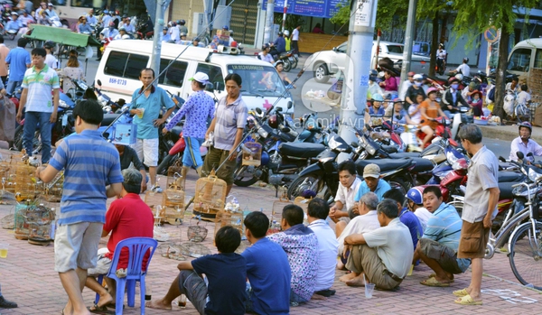 Chợ sâu bọ có một không hai ở Sài Gòn 1