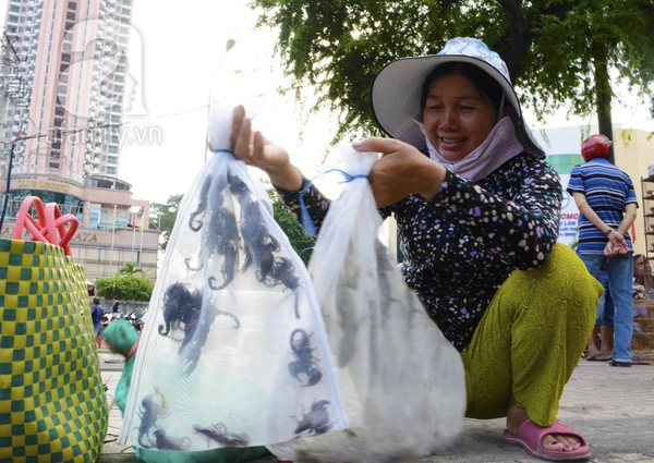 Chợ sâu bọ có một không hai ở Sài Gòn 5
