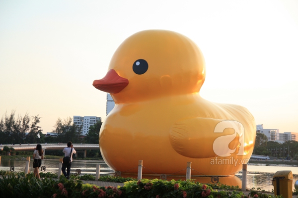 Người dân Sài Gòn phấn khích chụp ảnh cùng chú vịt vàng khổng lồ 2