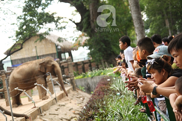 Nắng nóng, khu vui chơi vẫn đông nghịt khách trong ngày 1/6 16