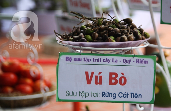 TP HCM: Chen chúc đi mua trái cây cực tươi ngon giảm giá tới 40%  13