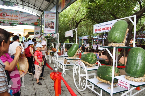 TP HCM: Chen chúc đi mua trái cây cực tươi ngon giảm giá tới 40%  21