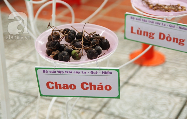 TP HCM: Chen chúc đi mua trái cây cực tươi ngon giảm giá tới 40%  15