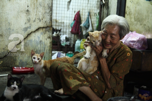 Ghé thăm ngôi nhà của cụ bà cưu mang hơn 50 chú chó, mèo bị bỏ rơi giữa Sài Gòn 4