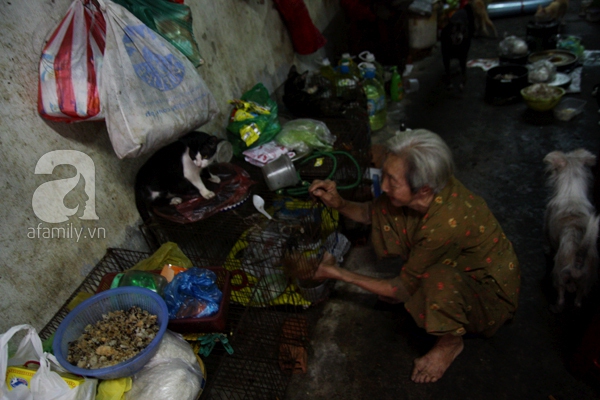 Ghé thăm ngôi nhà của cụ bà cưu mang hơn 50 chú chó, mèo bị bỏ rơi giữa Sài Gòn 6