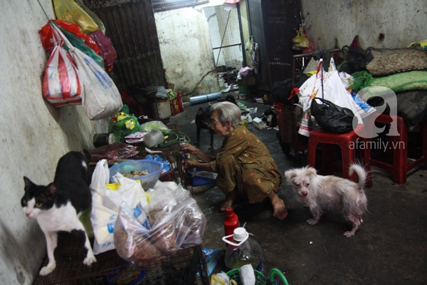 Ghé thăm ngôi nhà của cụ bà cưu mang hơn 50 chú chó, mèo bị bỏ rơi giữa Sài Gòn 2