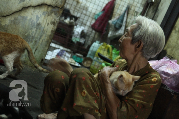 Ghé thăm ngôi nhà của cụ bà cưu mang hơn 50 chú chó, mèo bị bỏ rơi giữa Sài Gòn 7