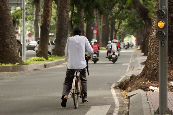 Người Sài Gòn tiếc nuối hàng cây cổ thụ sắp bị đốn hạ trên đường Tôn Đức Thắng 9