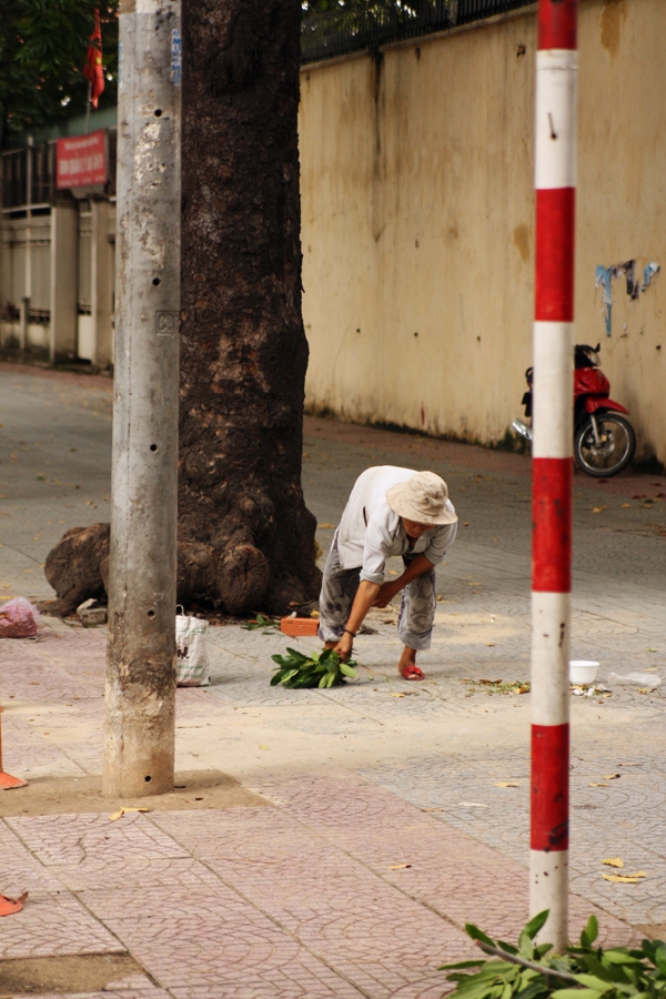 Người Sài Gòn tiếc nuối hàng cây cổ thụ sắp bị đốn hạ trên đường Tôn Đức Thắng 12