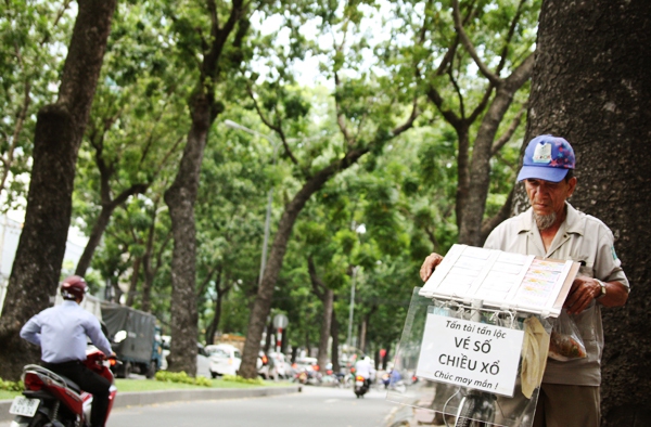 Người Sài Gòn tiếc nuối hàng cây cổ thụ sắp bị đốn hạ trên đường Tôn Đức Thắng 4