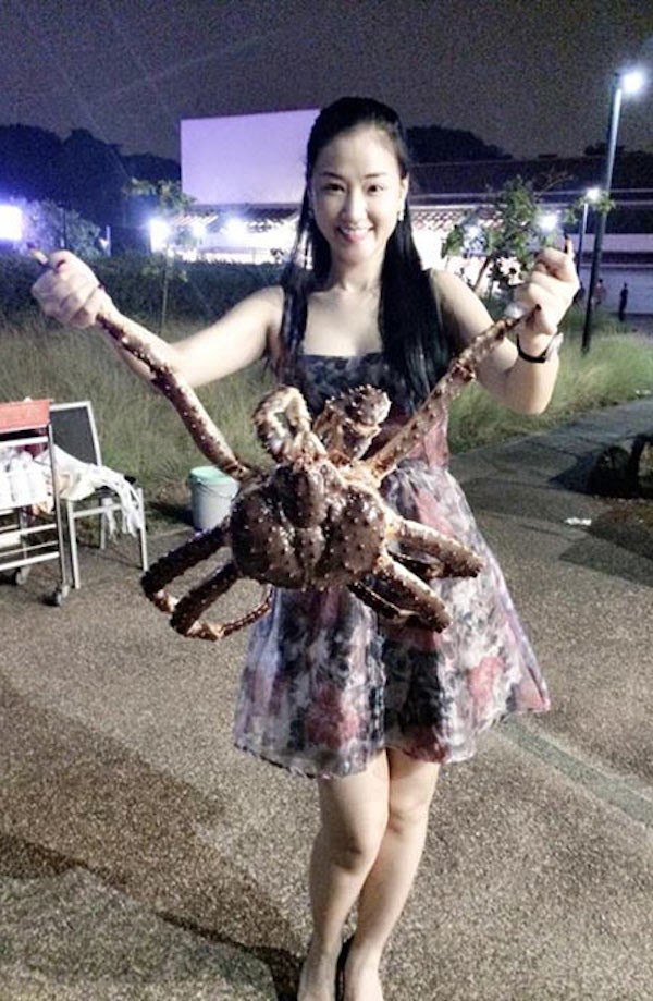 H&agrave; Hồ, Thanh Hằng, Ngọc Trinh trẻ trung với đồ m&agrave;u cơ bản 8