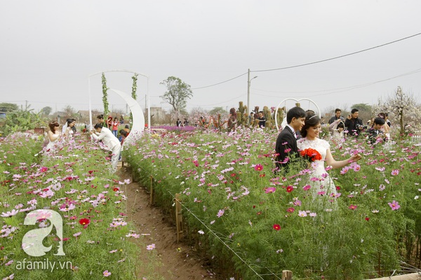 Mềm lòng trước 