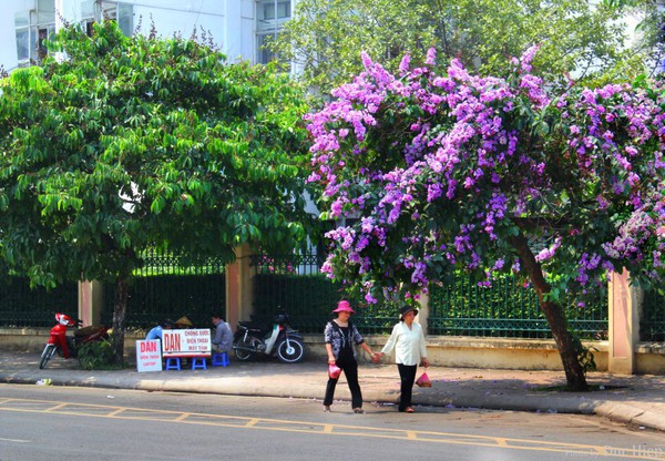 Những câu chuyện xôn xao mạng xã hội tuần qua 6