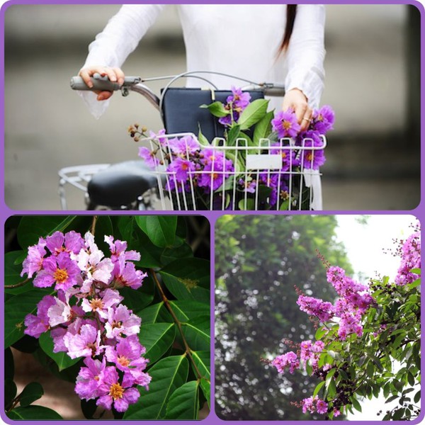 Những câu chuyện xôn xao mạng xã hội tuần qua 3 Những câu chuyện xôn xao mạng xã hội tuần qua 3