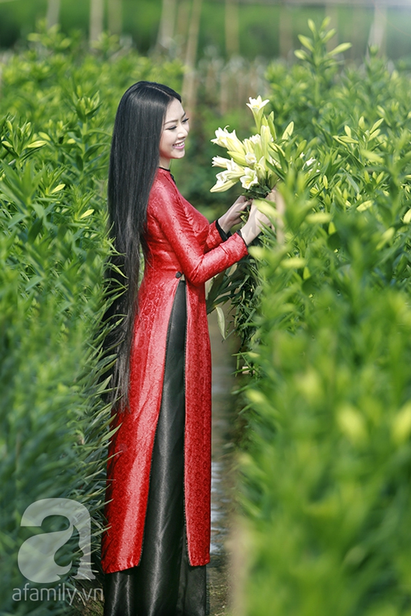 Hoa hậu Ngọc Anh và Hoa loa kèn 11