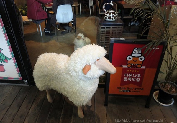 Quán cà phê Hàn Quốc đắt khách vì… cừu 2