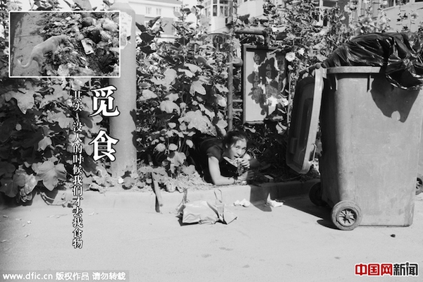 Giả làm chó để… kêu gọi mọi người yêu quý động vật Giả làm chó để… kêu gọi mọi người yêu quý động vật