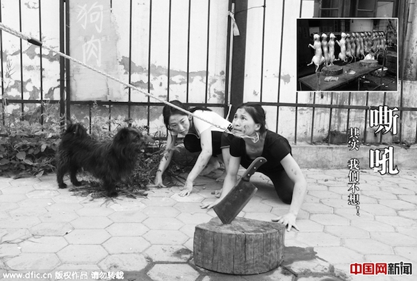 Giả làm chó để… kêu gọi mọi người yêu quý động vật Giả làm chó để… kêu gọi mọi người yêu quý động vật