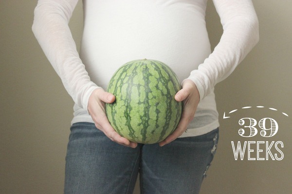 Bộ ảnh đáng yêu minh họa kích thước thai nhi qua các tuần tuổi bằng rau củ