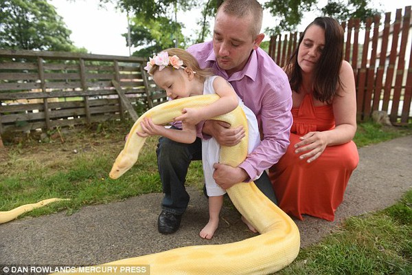 Bé gái 2 tuổi ôm hôn và chúc rắn ngủ ngon hàng ngày