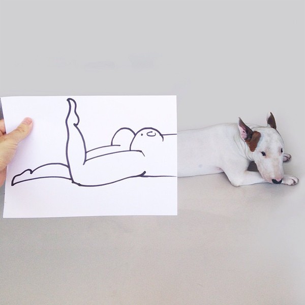 Bị vợ bỏ, người đàn ông vẽ hình minh họa cùng chó để bớt cô đơn