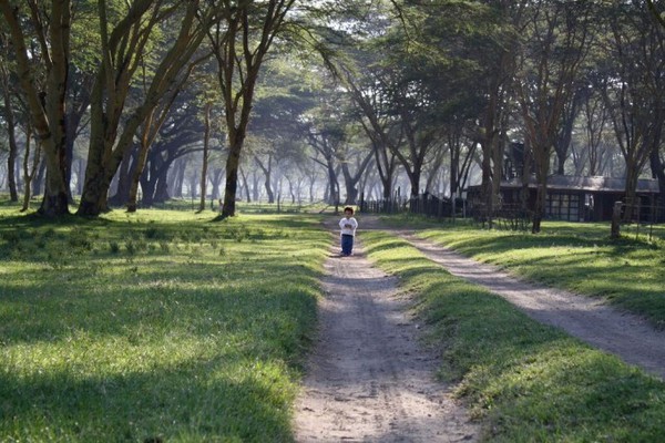 L&agrave;m mẹ ở Kenya