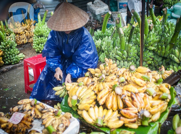 Nhịp sống Huế vẫn thong dong trước giờ bão đến 3