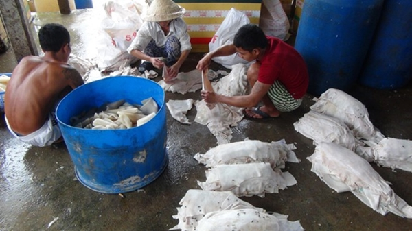 Bạch tuộc làm từ cao su, bún nhiễm chất tẩy rửa 