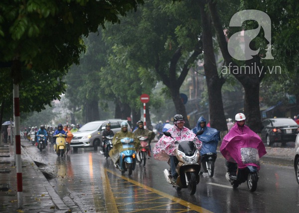 Người Hà Nội co ro trong mưa lạnh 9