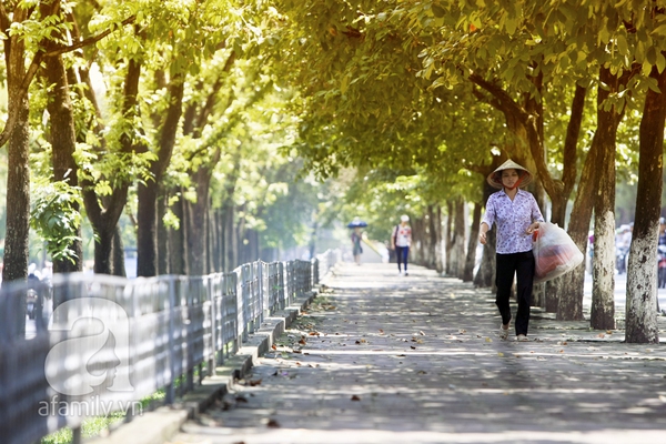 Chùm ảnh: Mùa thu - những ngày đẹp nhất của Hà Nội 19