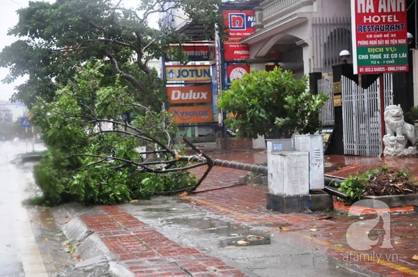 Ảnh đẹp và những tiêu điểm nóng trên mạng tuần qua 5