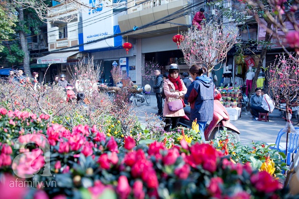 Du khách nước ngoài thích thú với chợ hoa Hàng Lược 6