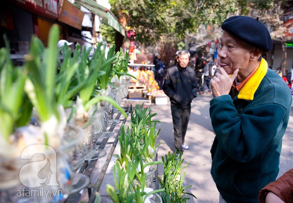 Du khách nước ngoài thích thú với chợ hoa Hàng Lược 10
