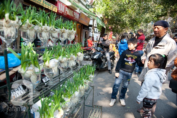 Du khách nước ngoài thích thú với chợ hoa Hàng Lược 1