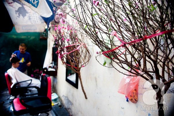 Hà Nội: Hoa đào nhộn nhịp xuống phố trong giá lạnh 10