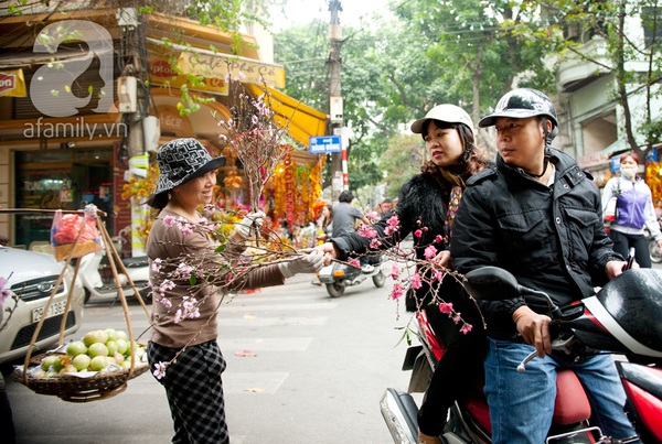 Hà Nội: Hoa đào nhộn nhịp xuống phố trong giá lạnh 19