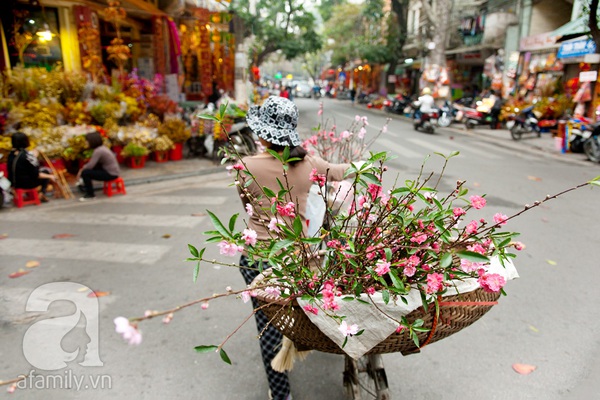 Hà Nội: Hoa đào nhộn nhịp xuống phố trong giá lạnh 22