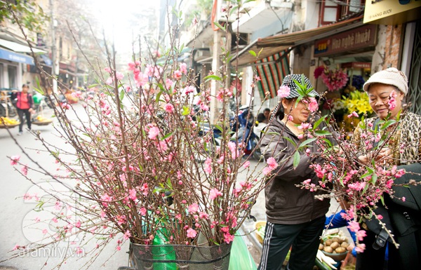 Hà Nội: Hoa đào nhộn nhịp xuống phố trong giá lạnh 3